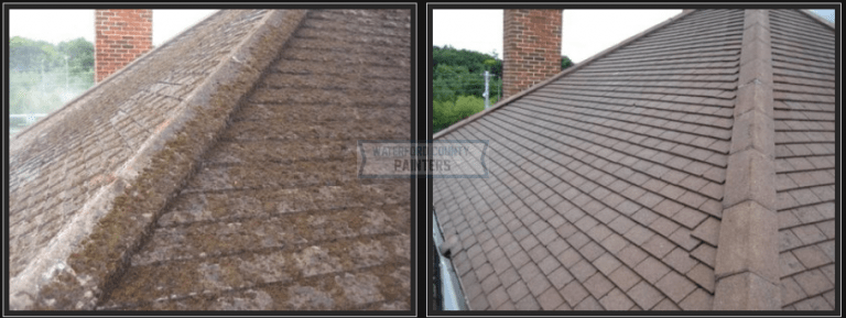 Before and After House Roof Painting​