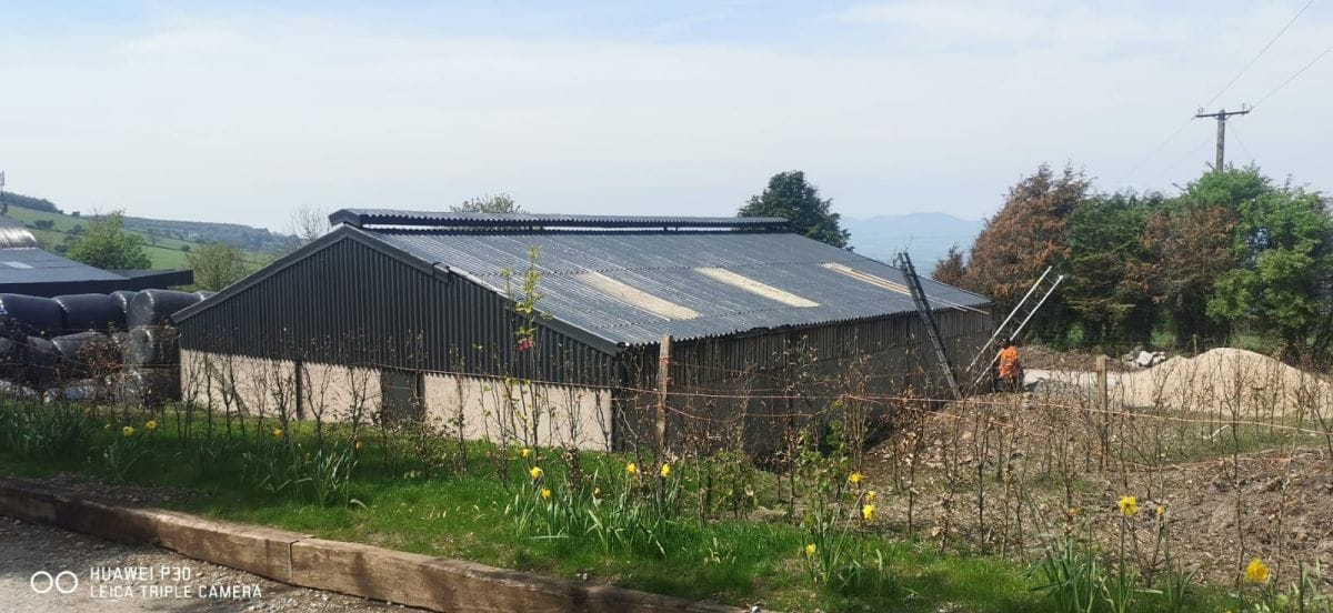 Farm Shed Painting After