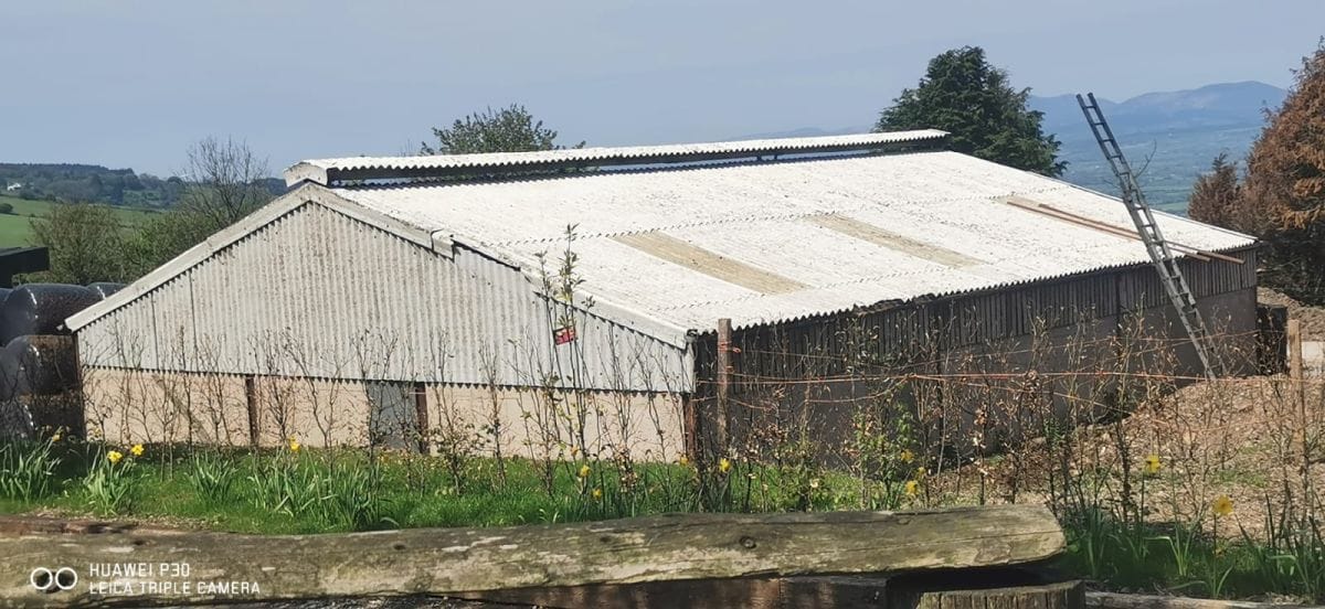 Farm Shed Painting Before